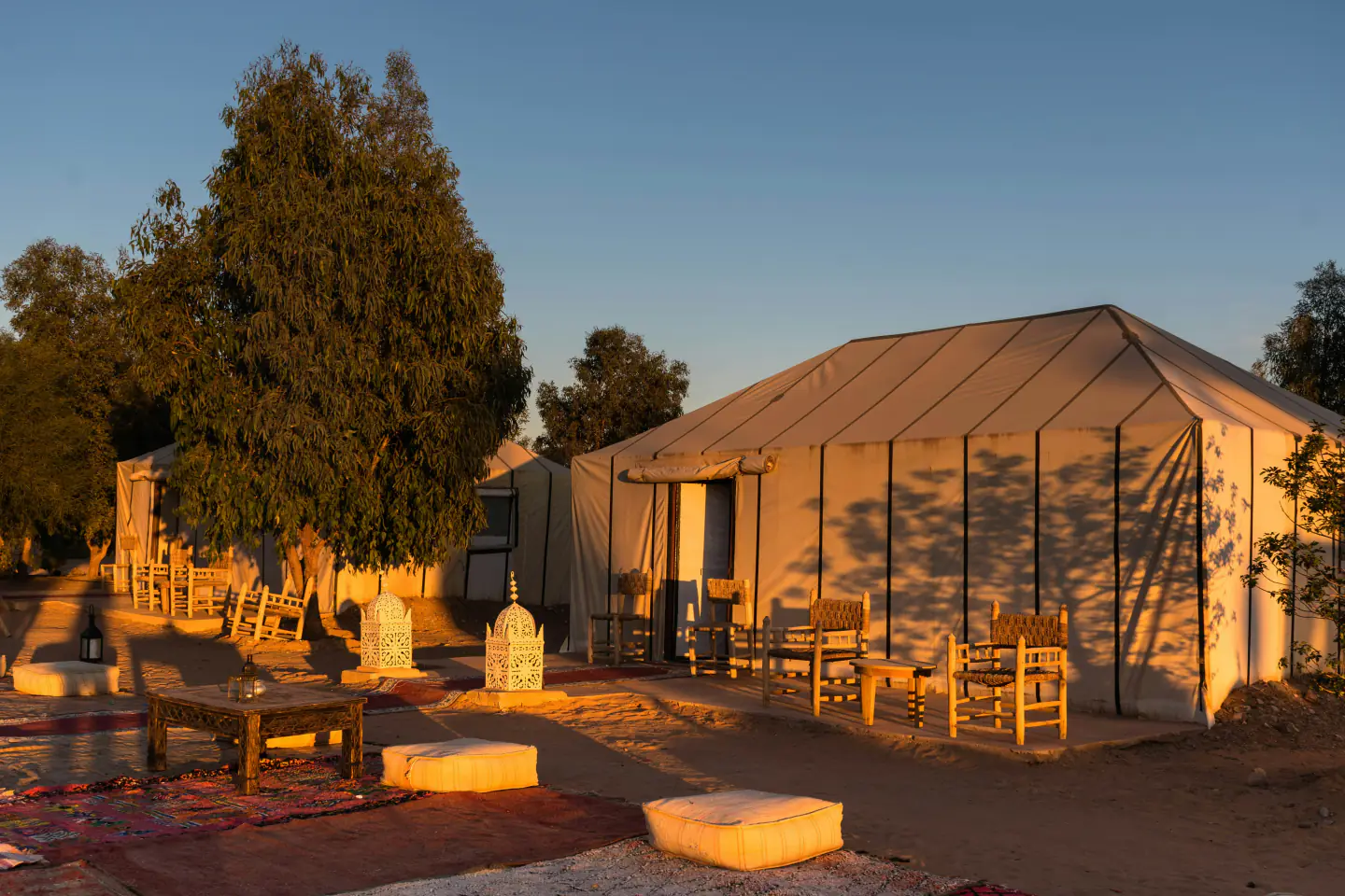 Sahara desert camp