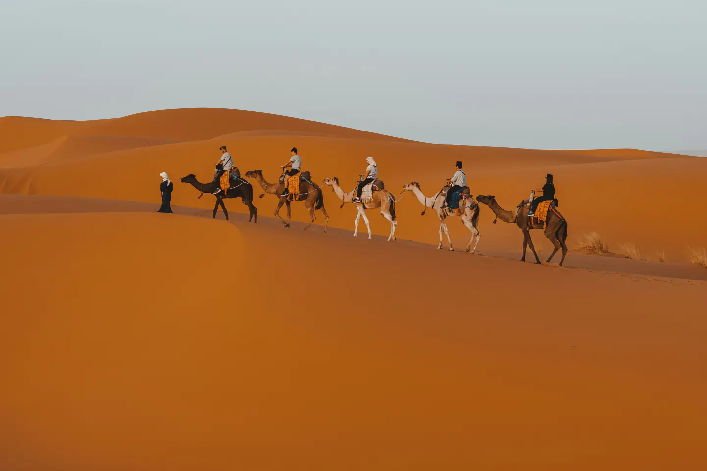 Camel ride in Merzouga dunes